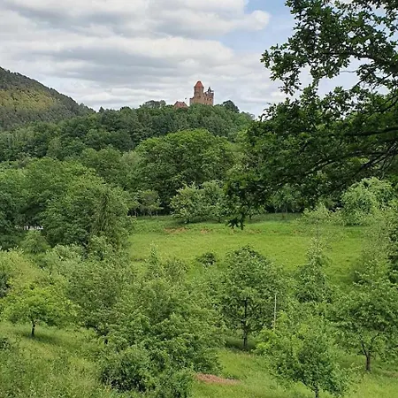 Korn Mitten Im Schoenen Pfaelzer Wald, Privat Haus Holiday home *