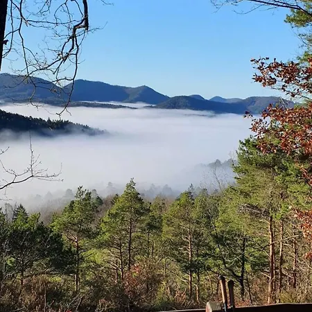 Korn Mitten Im Schoenen Pfaelzer Wald, Privat Haus Bruchweiler-Bärenbach