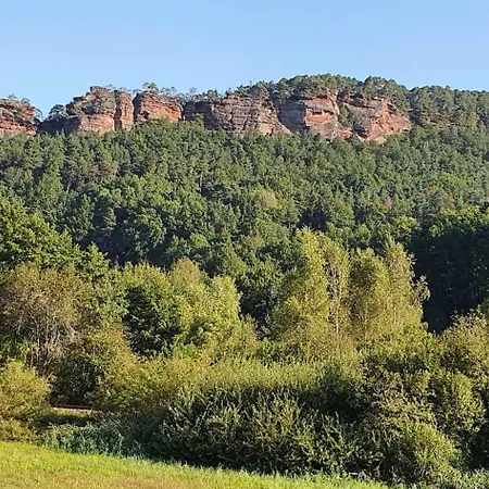 Korn Mitten Im Schoenen Pfaelzer Wald, Privat Haus