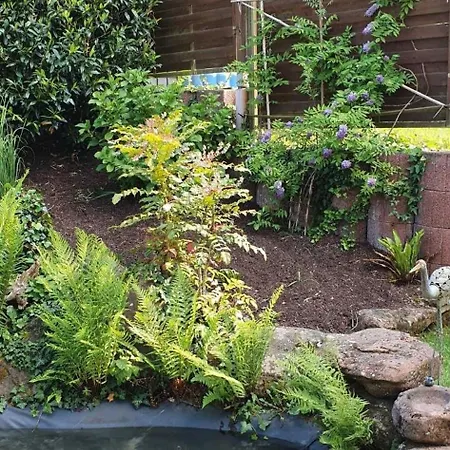 Сasa de vacaciones Korn Mitten Im Schoenen Pfaelzer Wald, Privat Haus