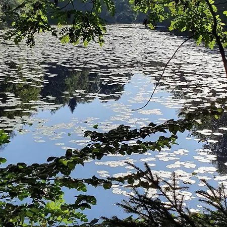 Korn Mitten Im Schoenen Pfaelzer Wald, Privat Haus