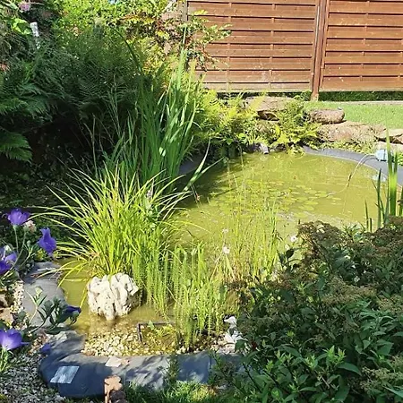 Korn Mitten Im Schoenen Pfaelzer Wald, Privat Haus