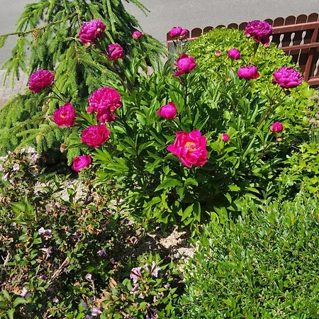 Holiday home Korn Mitten Im Schoenen Pfaelzer Wald, Privat Haus