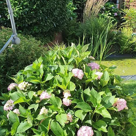 Holiday home Korn Mitten Im Schoenen Pfaelzer Wald, Privat Haus