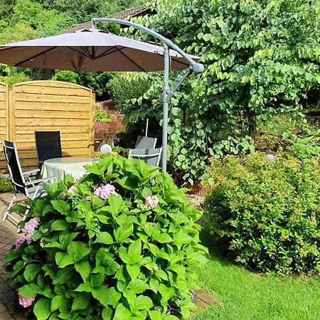 Korn Mitten Im Schönen Pfälzer Wald, Privat Haus Ferienhaus Bruchweiler-Bärenbach