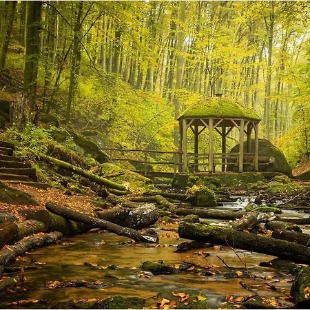 Korn Mitten Im Schönen Pfälzer Wald, Privat Haus