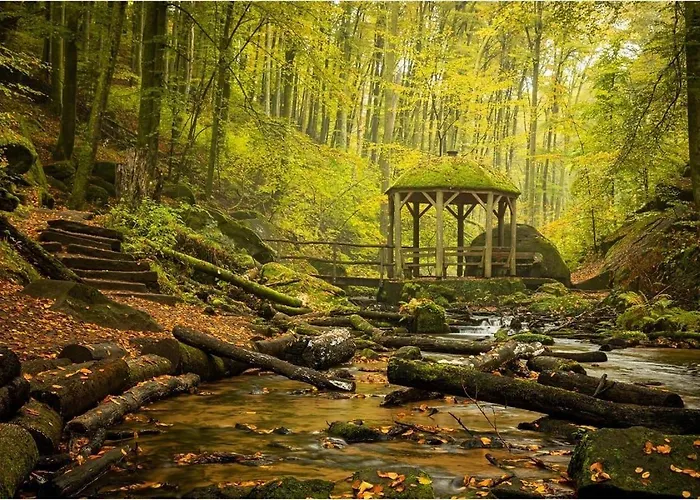 Casa de Férias Korn Mitten Im Schoenen Pfaelzer Wald, Privat Haus *