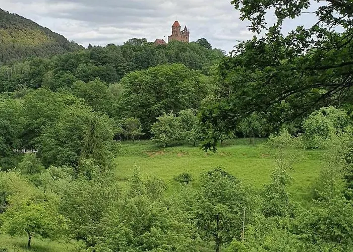 Korn Mitten Im Schönen Pfälzer Wald, Privat Haus Ferienhaus *