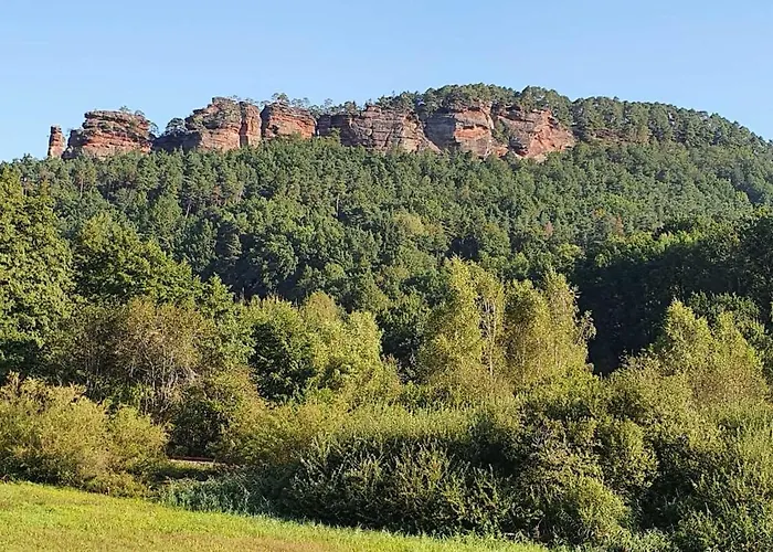 Korn Mitten Im Schoenen Pfaelzer Wald, Privat Haus