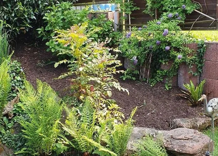 Casa de Férias Korn Mitten Im Schoenen Pfaelzer Wald, Privat Haus