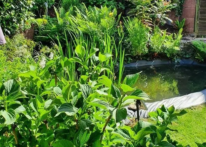 Korn Mitten Im Schoenen Pfaelzer Wald, Privat Haus Casa de Férias