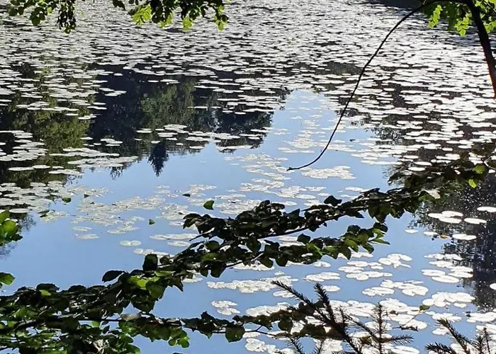 Korn Mitten Im Schoenen Pfaelzer Wald, Privat Haus