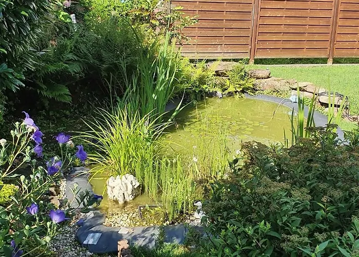 Korn Mitten Im Schoenen Pfaelzer Wald, Privat Haus