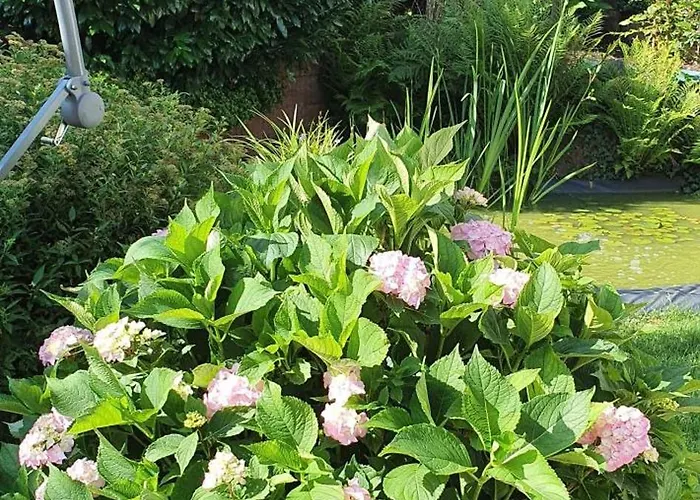 Casa de Férias Korn Mitten Im Schoenen Pfaelzer Wald, Privat Haus