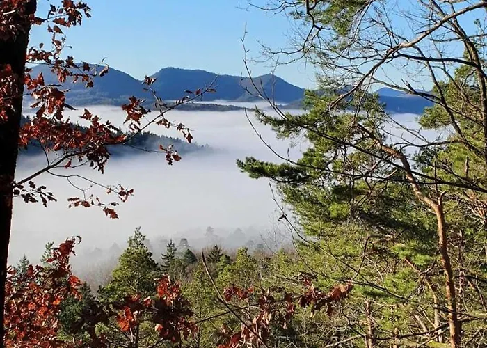 Korn Mitten Im Schönen Pfälzer Wald, Privat Haus *