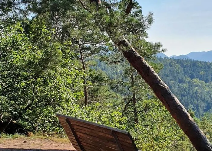 Korn Mitten Im Schoenen Pfaelzer Wald, Privat Haus Casa de Férias